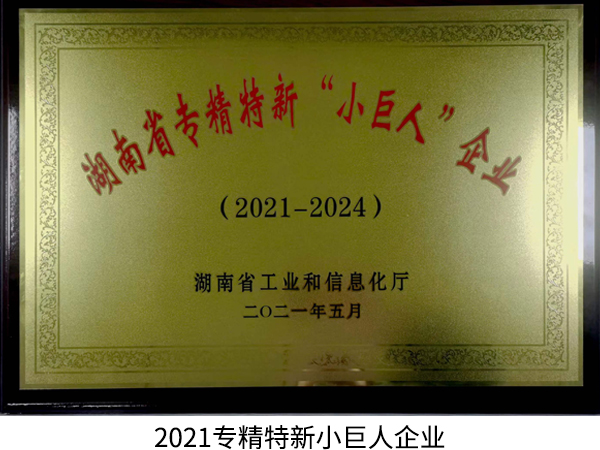 2021专精特新小巨人企业1.jpg